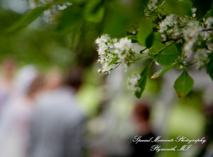 Kristen & Kyle at Stonebridge Golf Club Ann Arbor MI wedding photograph