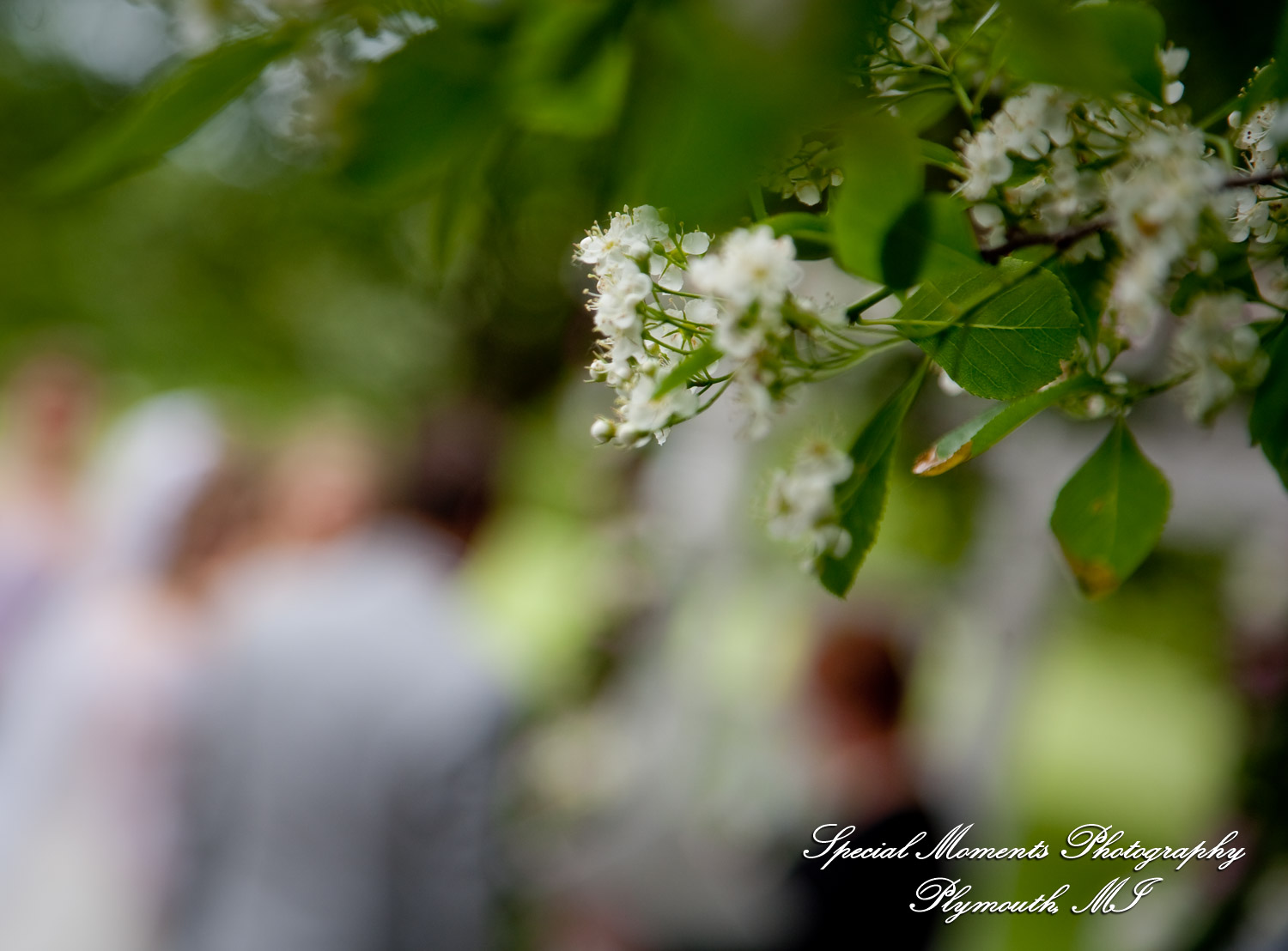 Kristen & Kyle at Stonebridge Golf Club Ann Arbor MI wedding photograph