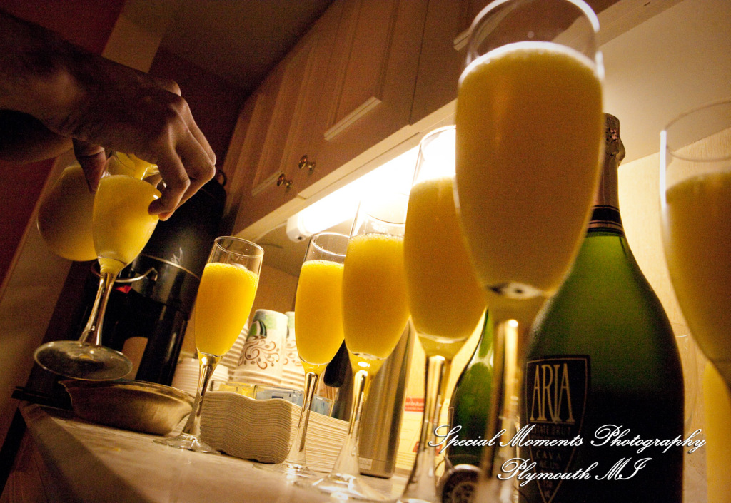 Sharmila & Sameer at The Westin Southfield Detroit MI wedding photograph