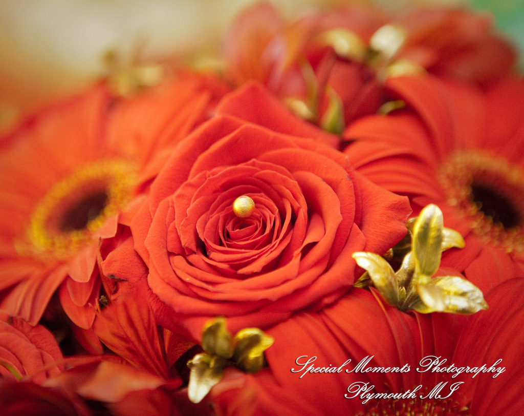 Sharmila & Sameer at The Westin Southfield Detroit MI wedding photograph