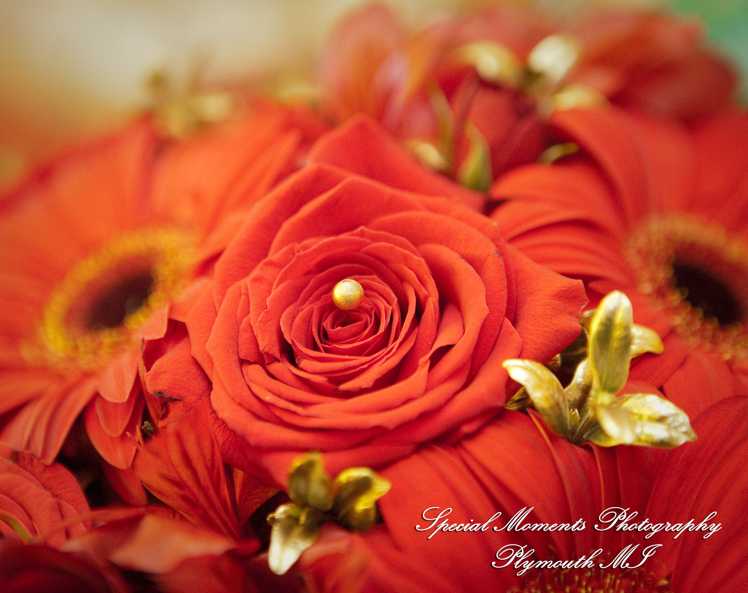 Sharmila & Sameer at The Westin Southfield Detroit MI wedding photograph
