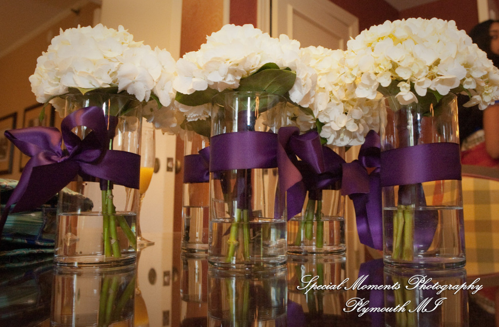 Sharmila & Sameer at The Westin Southfield Detroit MI wedding photograph