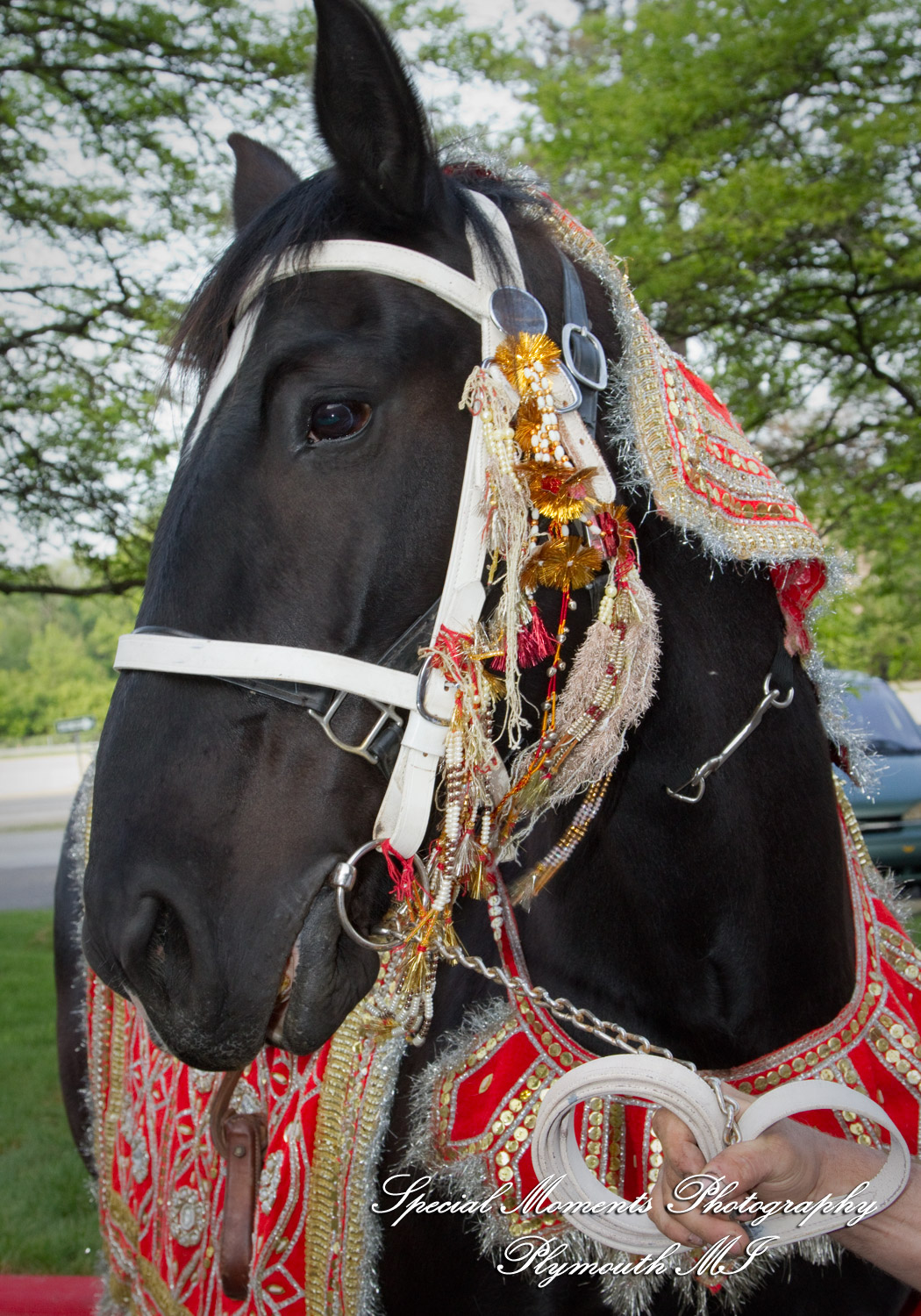 Sharmila & Sameer at The Westin Southfield Detroit MI wedding photograph