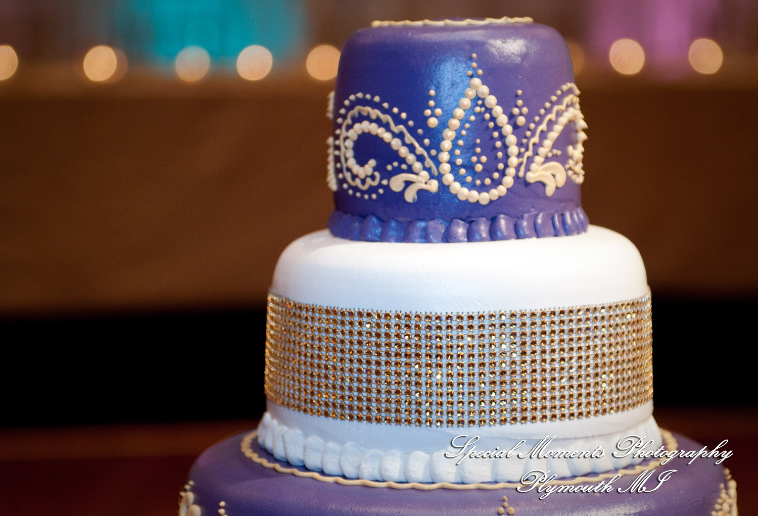 Sharmila & Sameer at Dearborn Inn Dearborn MI wedding photograph