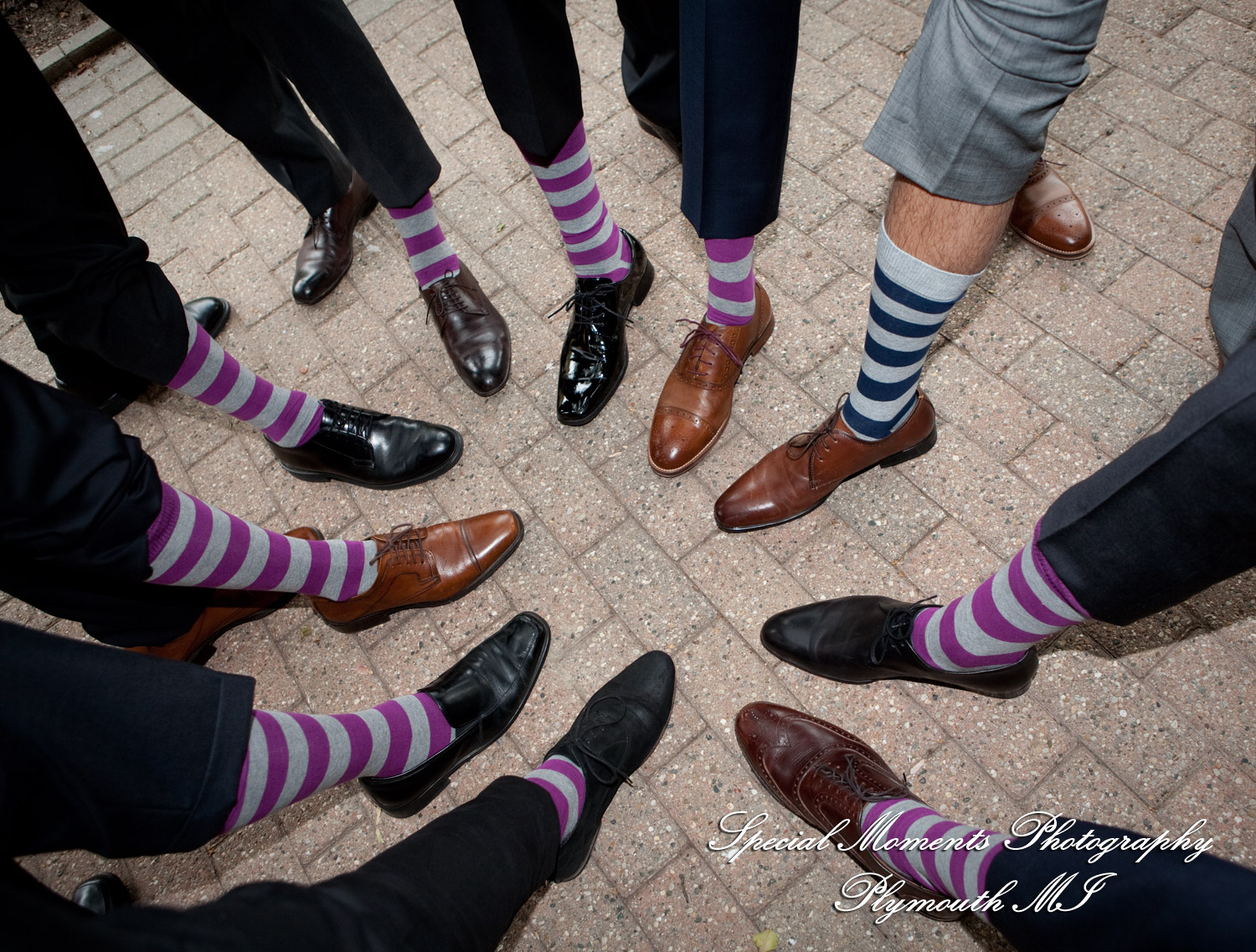 Sharmila & Sameer at Dearborn Inn Dearborn MI wedding photograph
