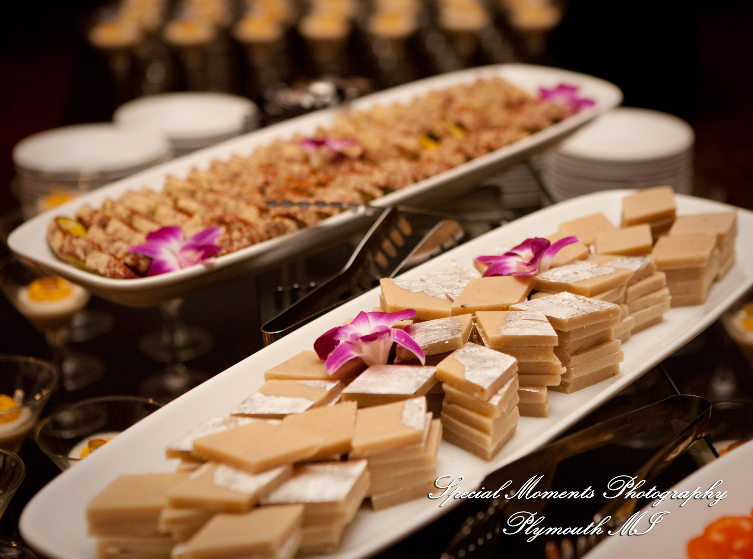 Sharmila & Sameer at Dearborn Inn Dearborn MI wedding photograph