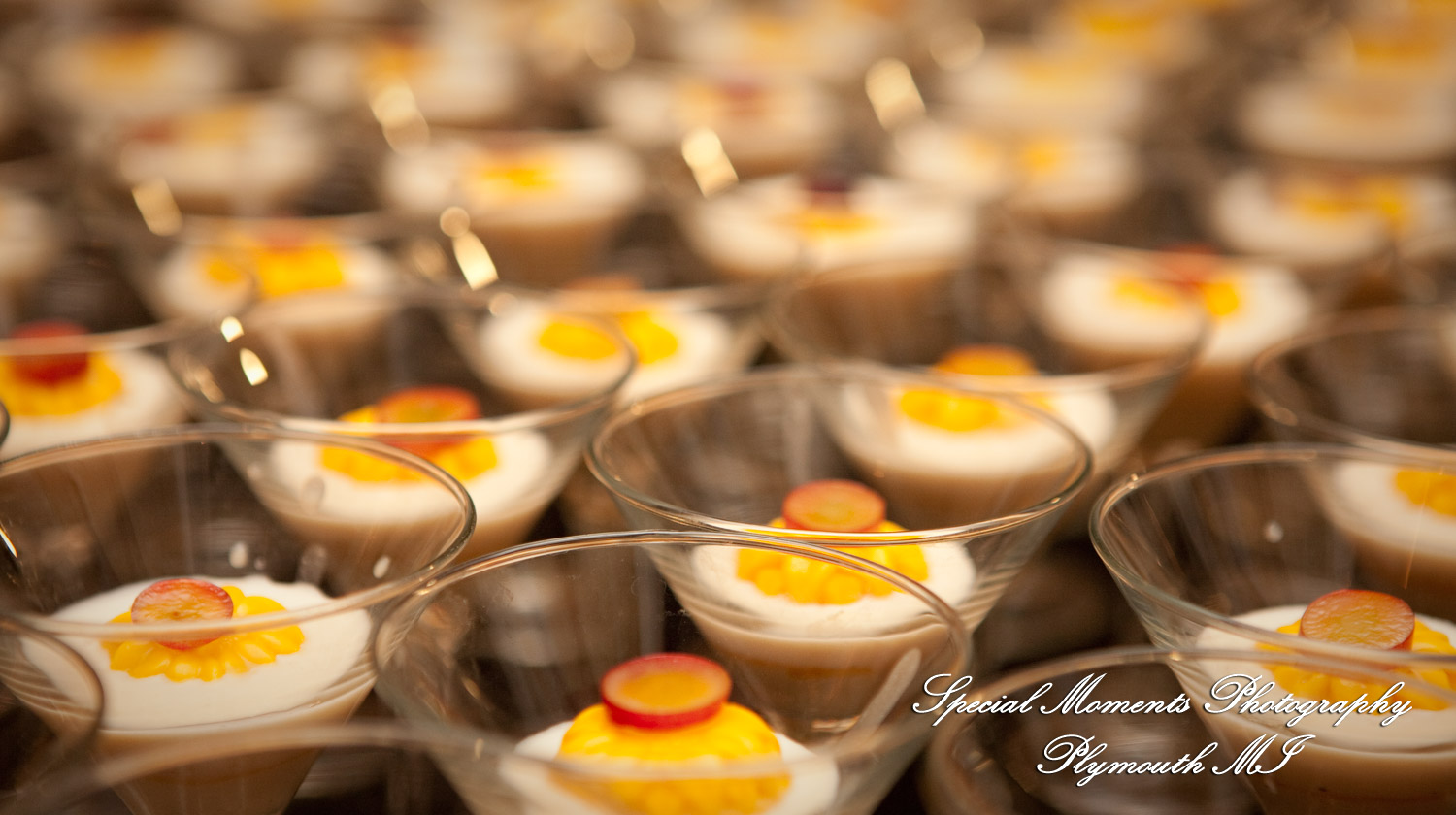 Sharmila & Sameer at Dearborn Inn Dearborn MI wedding photograph