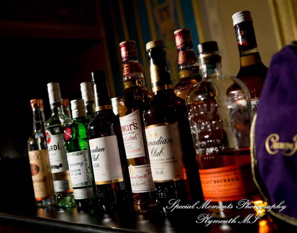 Julie & Tom Detroit Opera House Detroit MI wedding photograph