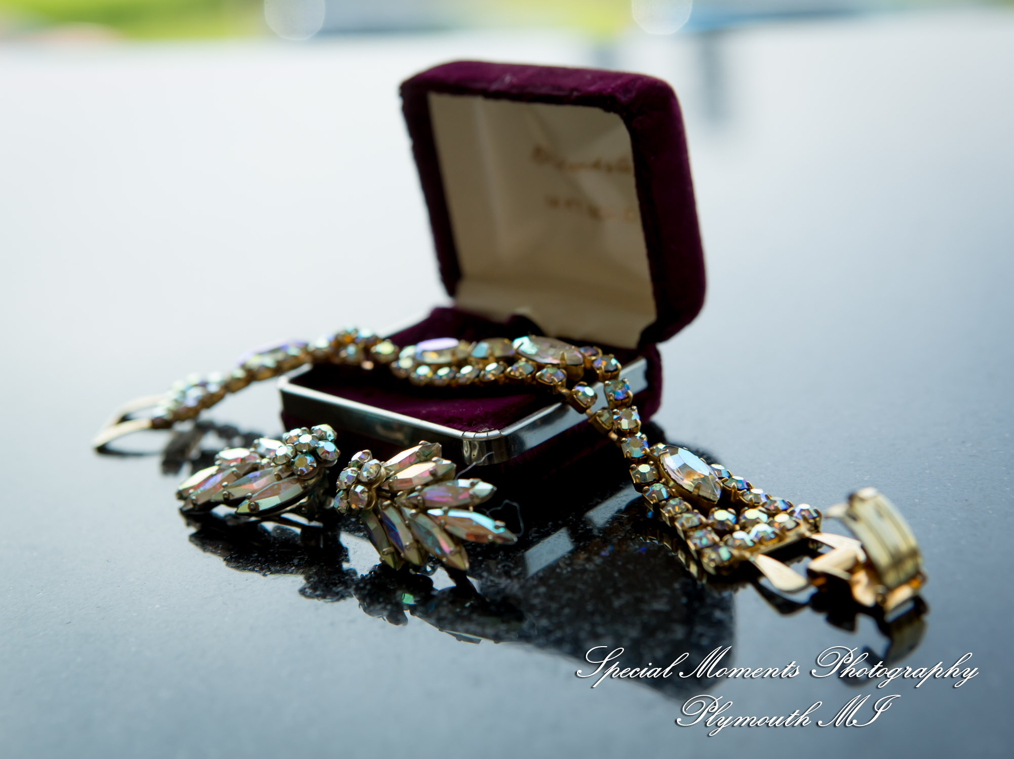 Julie & Tom Detroit Opera House Detroit MI wedding photograph