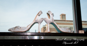 Julie & Tom Detroit Opera House Detroit MI wedding photograph