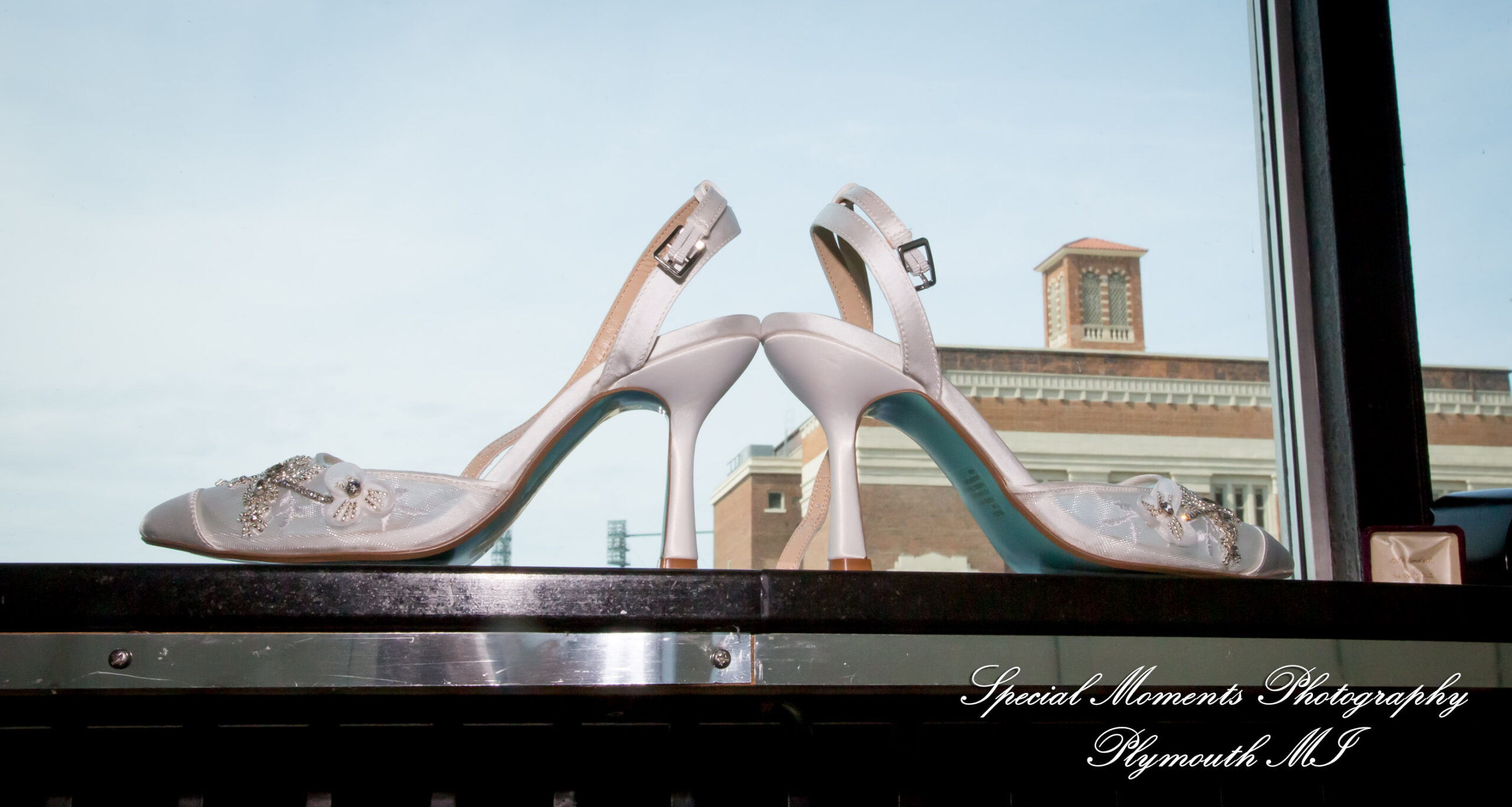 Julie & Tom Detroit Opera House Detroit MI wedding photograph