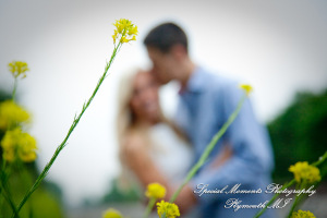 Amanda & Kevin Novi MI Engagement photograph