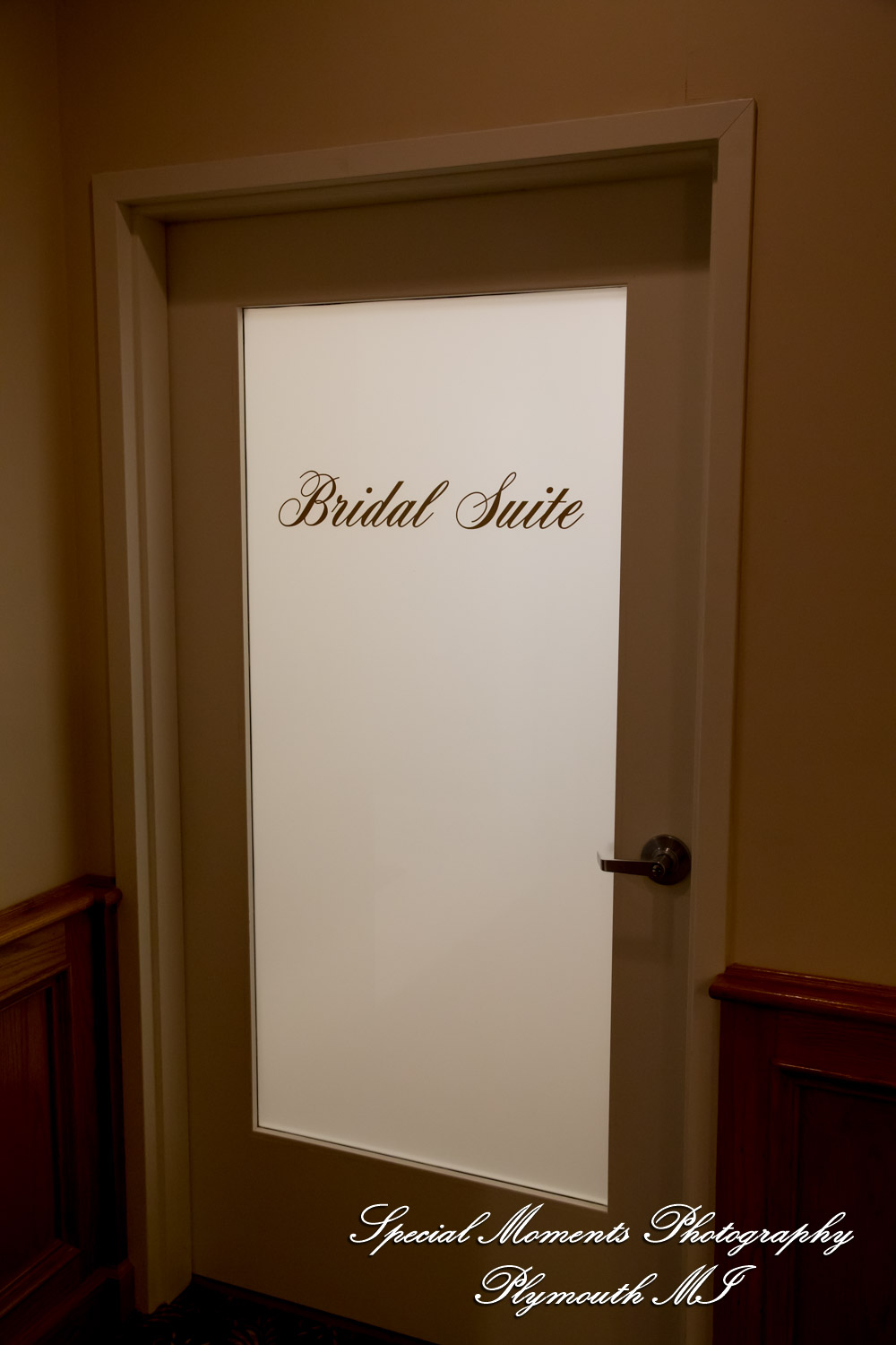 Aidan & Alex at Italian American Club Livonia MI wedding photograph