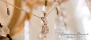 Aidan & Alex at Italian American Club Livonia MI wedding photograph