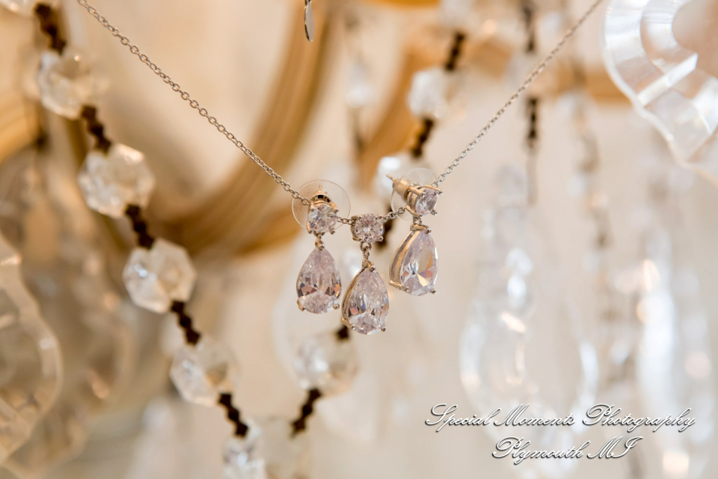 Aidan & Alex at Italian American Club Livonia MI wedding photograph