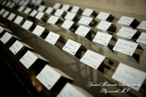 Taylor & Jacob Polo Fields Golf & Country Club Ann Arbor MI wedding photograph