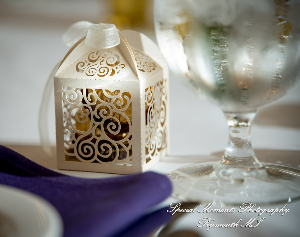 Taylor & Jacob Polo Fields Golf & Country Club Ann Arbor MI wedding photograph