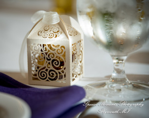 Taylor & Jacob Polo Fields Golf & Country Club Ann Arbor MI wedding photograph