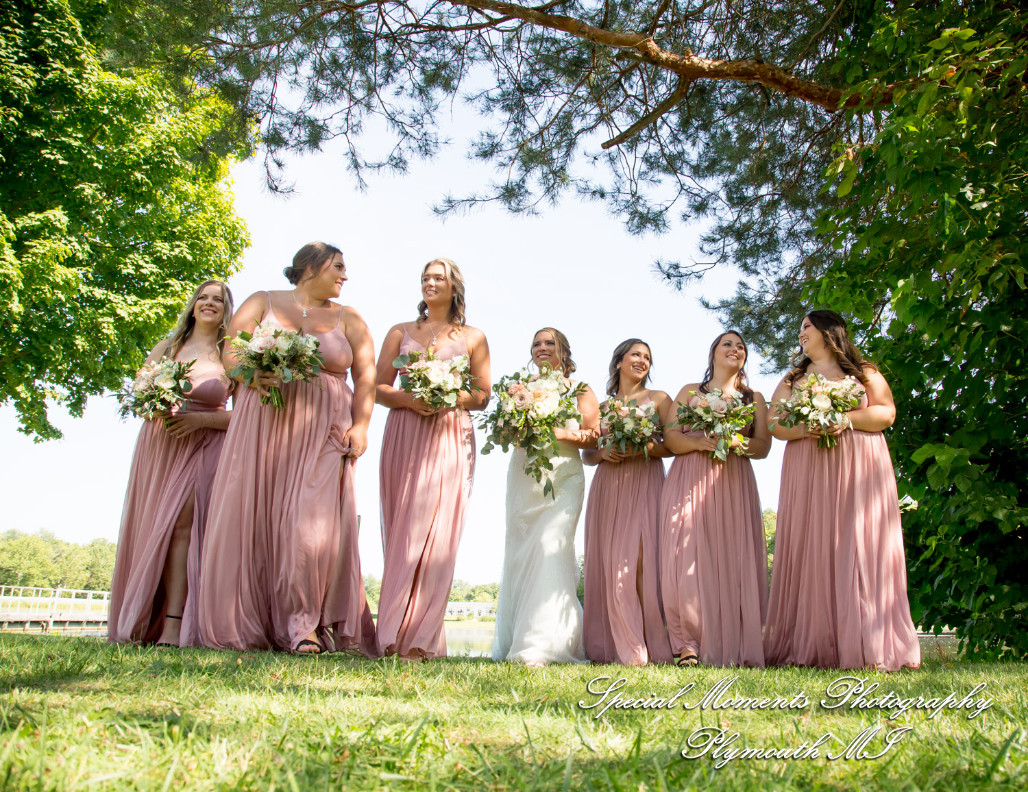 Aidan & Alex at Italian American Club Livonia MI wedding photograph