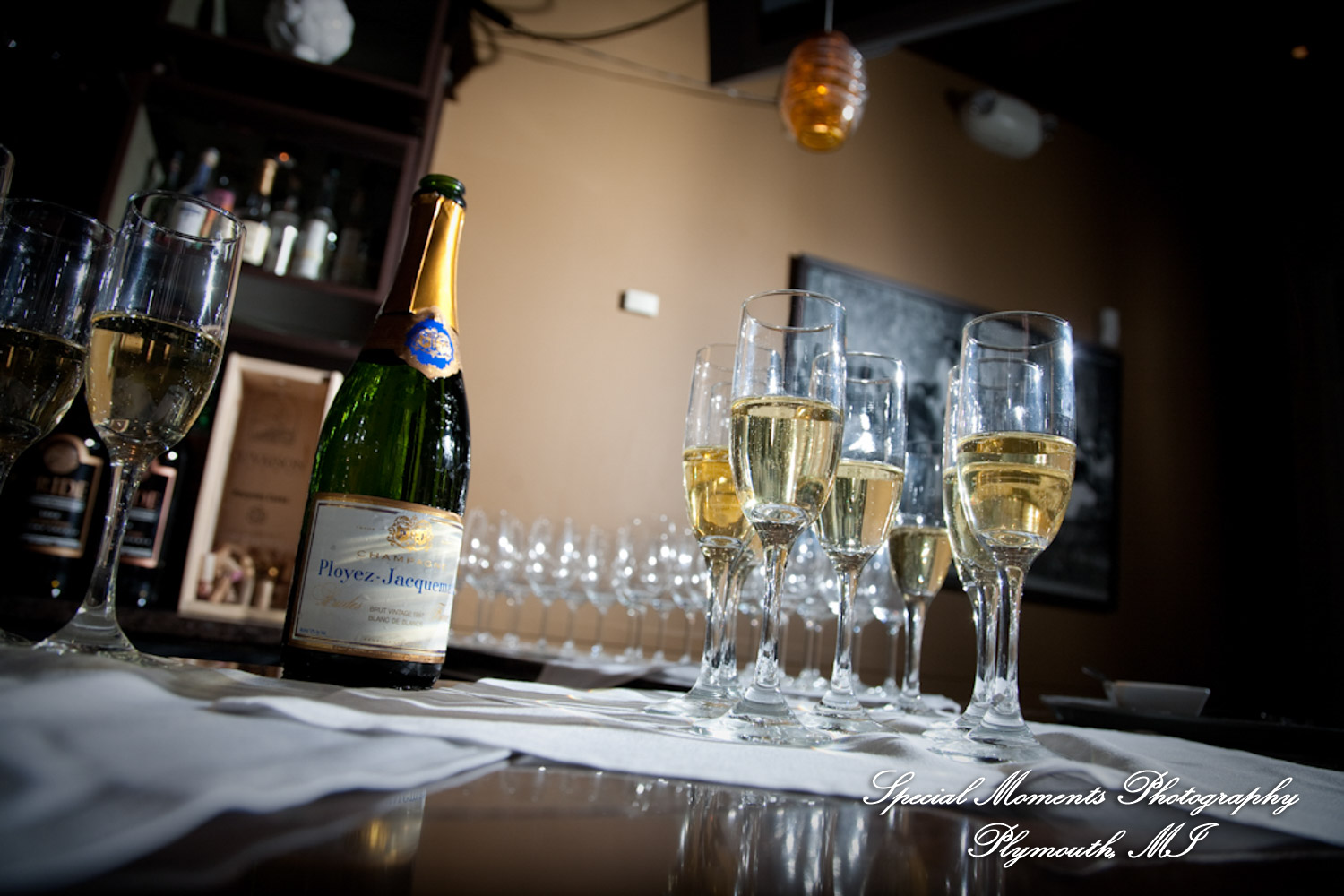 Pete & Paula at Fiamma Grill Plymouth MI wedding photograph