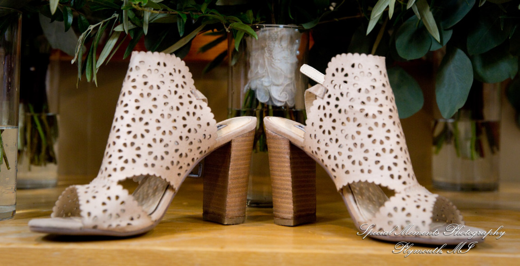 Heather & Clark at Stonebridge Golf Club Ann Arbor MI wedding photograph