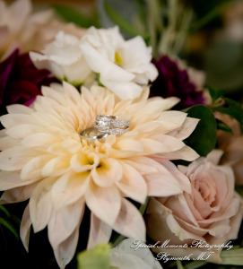 Heather & Clark at Stonebridge Golf Club Ann Arbor MI wedding photograph