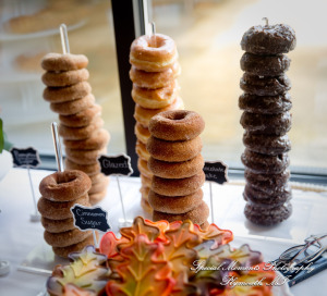 Heather & Clark at Stonebridge Golf Club Ann Arbor MI wedding photograph