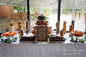 Heather & Clark at Stonebridge Golf Club Ann Arbor MI wedding photograph