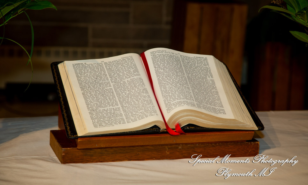 Julianne & Sean at Newburg United Methodist Livonia MI wedding photograph