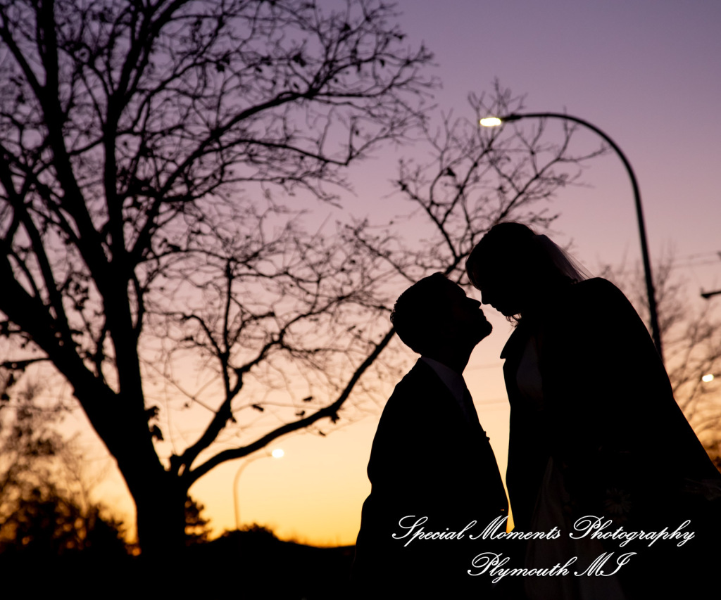 Julianne & Sean at One Under Banquet Hall Livonia MI wedding photograph