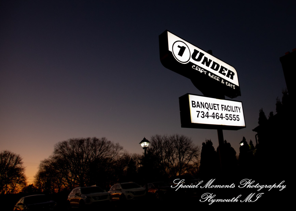 Julianne & Sean at One Under Banquet Hall Livonia MI wedding photograph