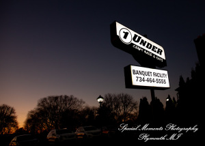 Julianne & Sean at One Under Banquet Hall Livonia MI wedding photograph