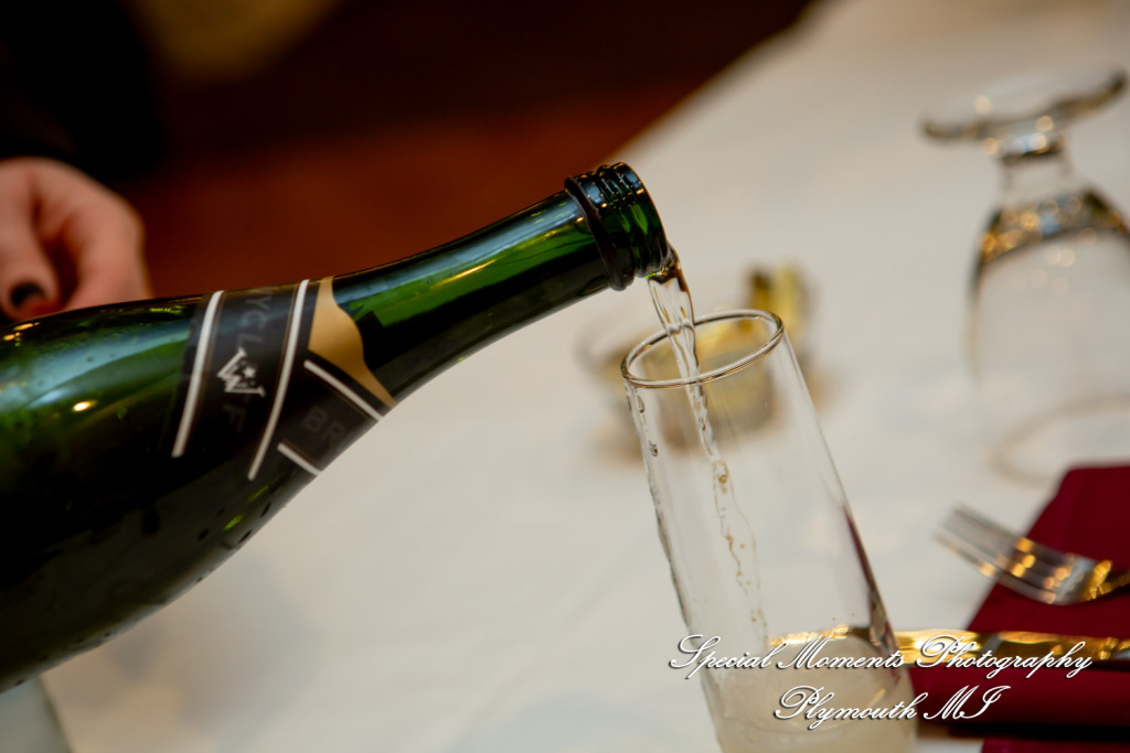 Julianne & Sean at One Under Banquet Hall Livonia MI wedding photograph