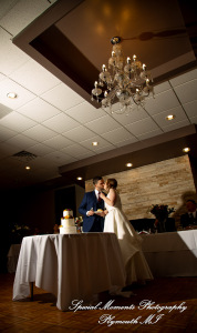 Julianne & Sean at One Under Banquet Hall Livonia MI wedding photograph
