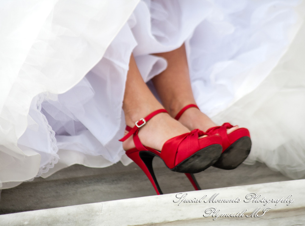 5 Star - Stephanie & Korey at Crystal Gardens Southgate MI wedding photography Shoe Shot