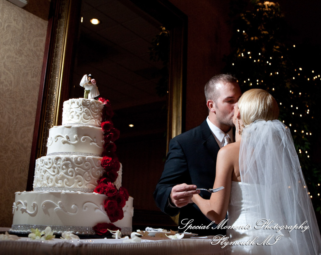 5 Star - Stephanie & Korey at Crystal Gardens Southgate MI wedding photography Shoe Shot