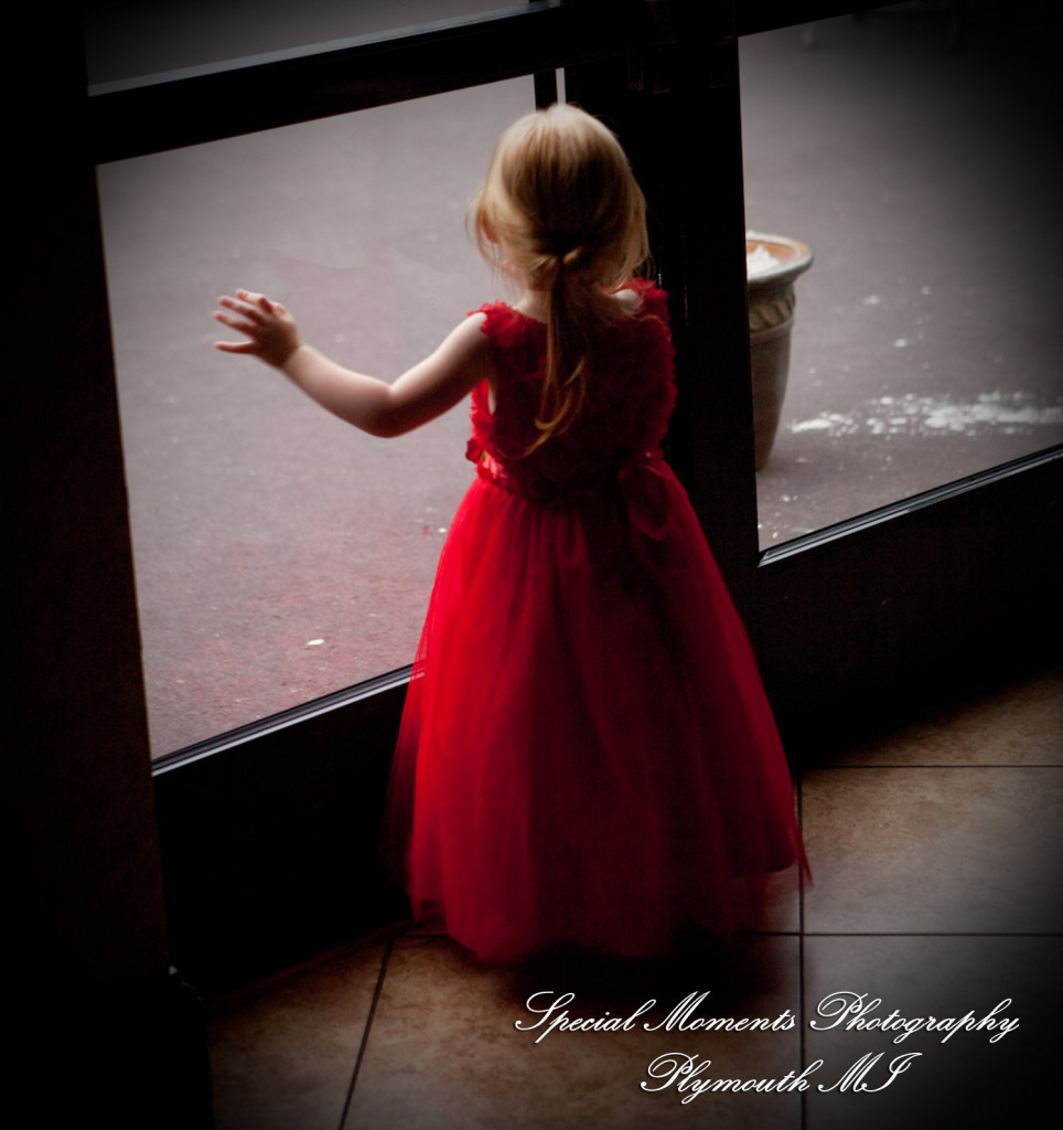 5 Star - Stephanie & Korey at Crystal Gardens Southgate MI wedding photography Shoe Shot