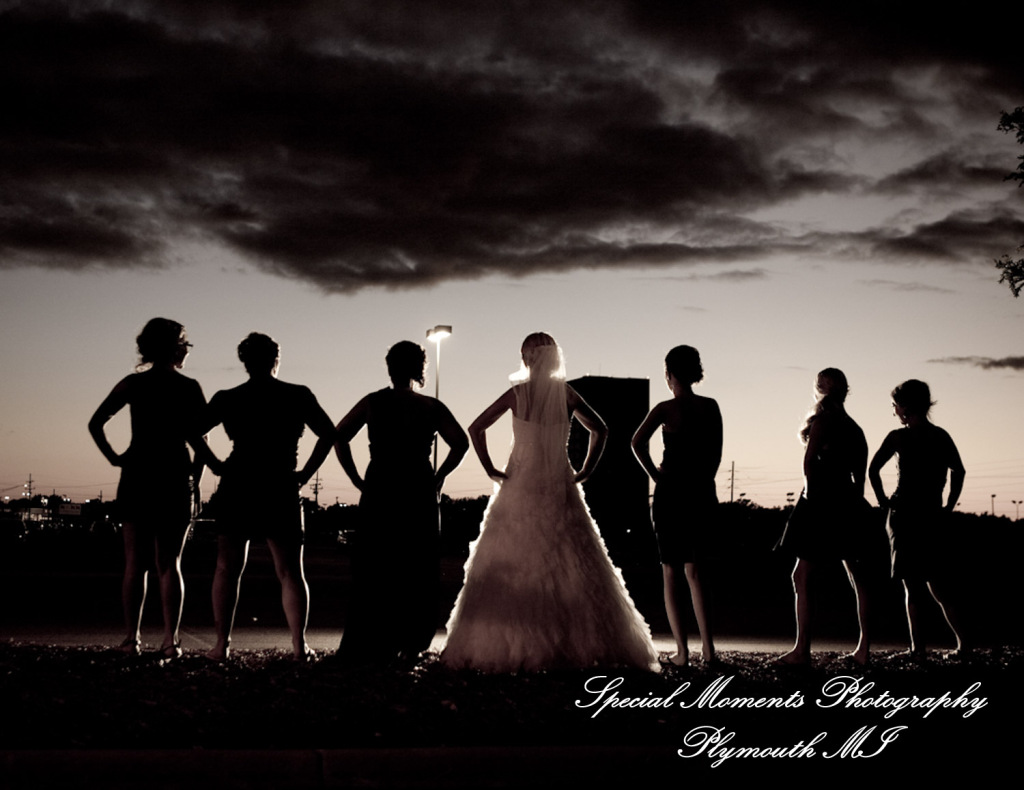 5 Star - Stephanie & Korey at Crystal Gardens Southgate MI wedding photography Shoe Shot