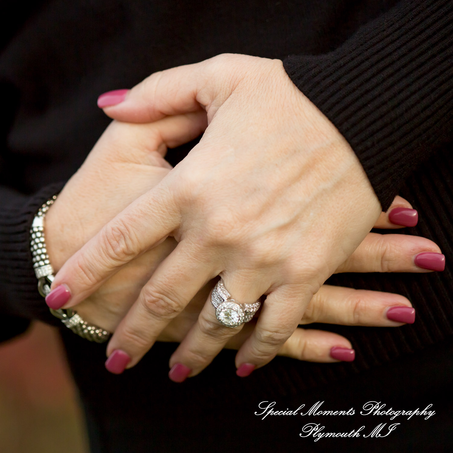 Heritage Park Canton MI family photograph