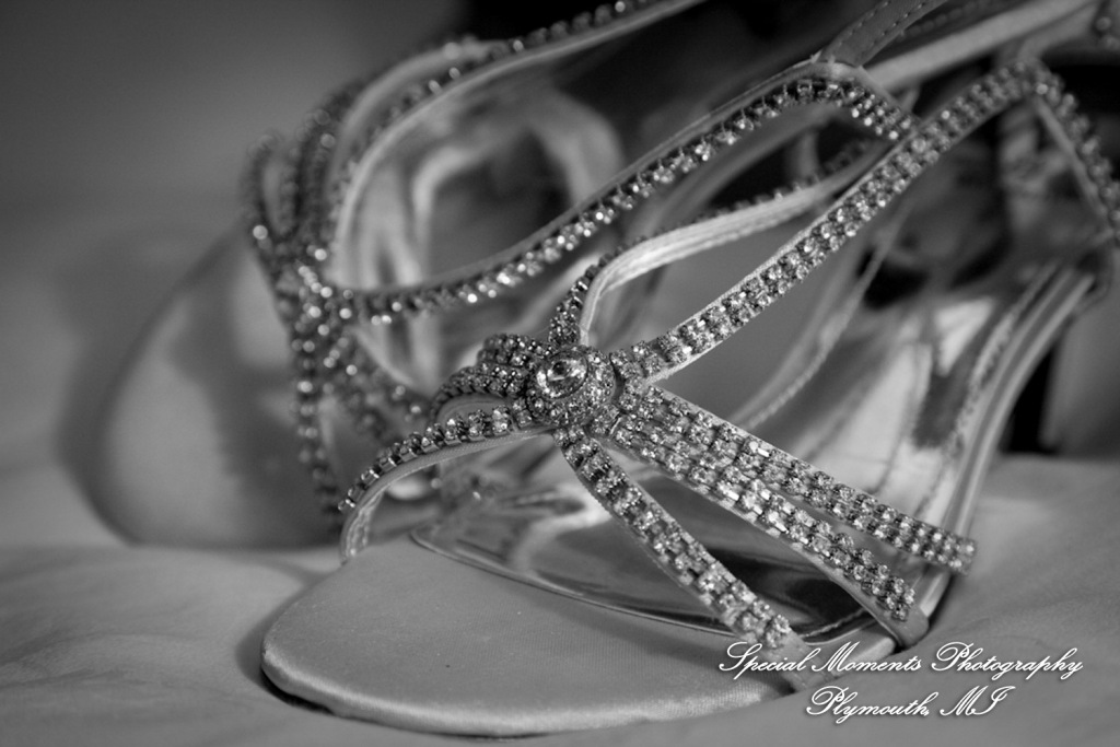 Marsha & Patrick at Townsend Hotel Birmingham MI wedding photograph