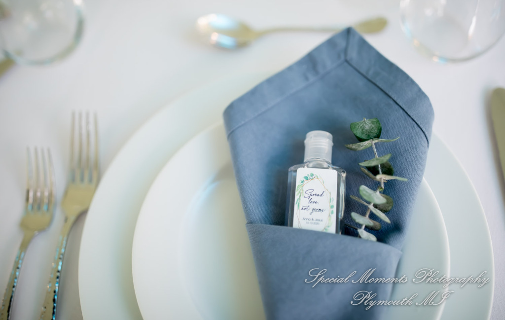 Anna & Jesus at Home Wedding & Reception Chelsea MI wedding photograph