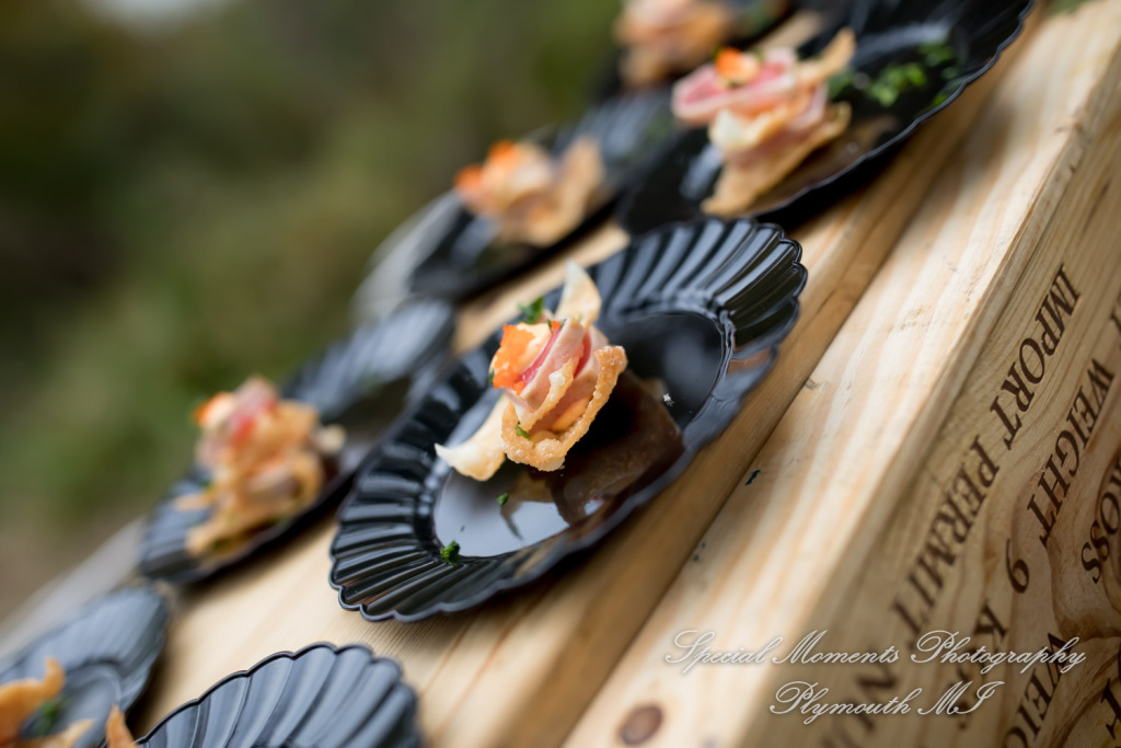 Anna & Jesus at Home Wedding & Reception Chelsea MI wedding photograph