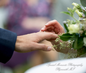 Anna & Jesus at Home Wedding & Reception Chelsea MI wedding photograph