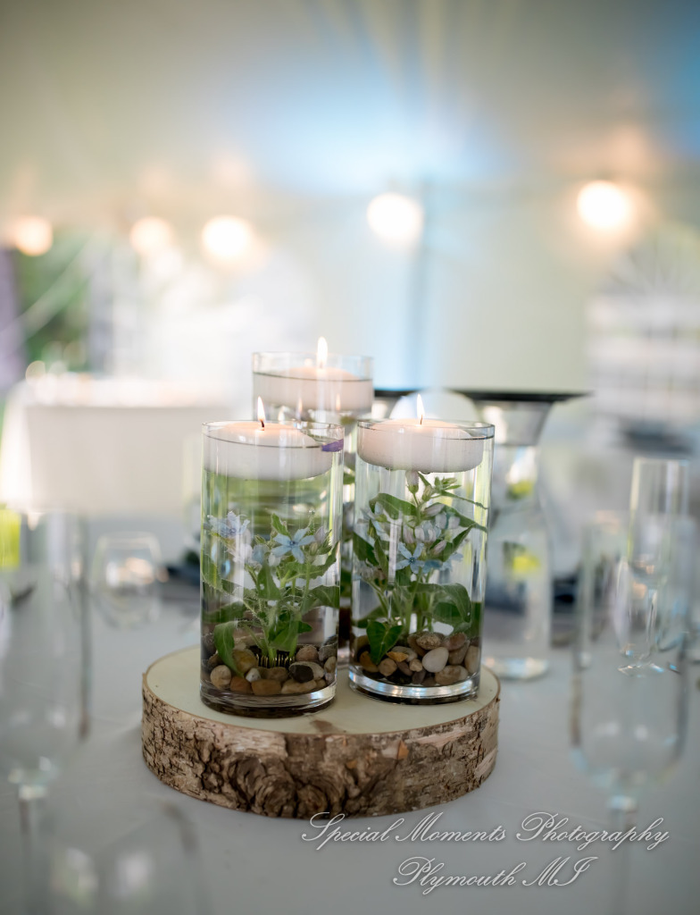 Anna & Jesus at Home Wedding & Reception Chelsea MI wedding photograph