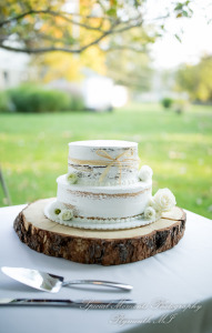 Anna & Jesus at Home Wedding & Reception Chelsea MI wedding photograph