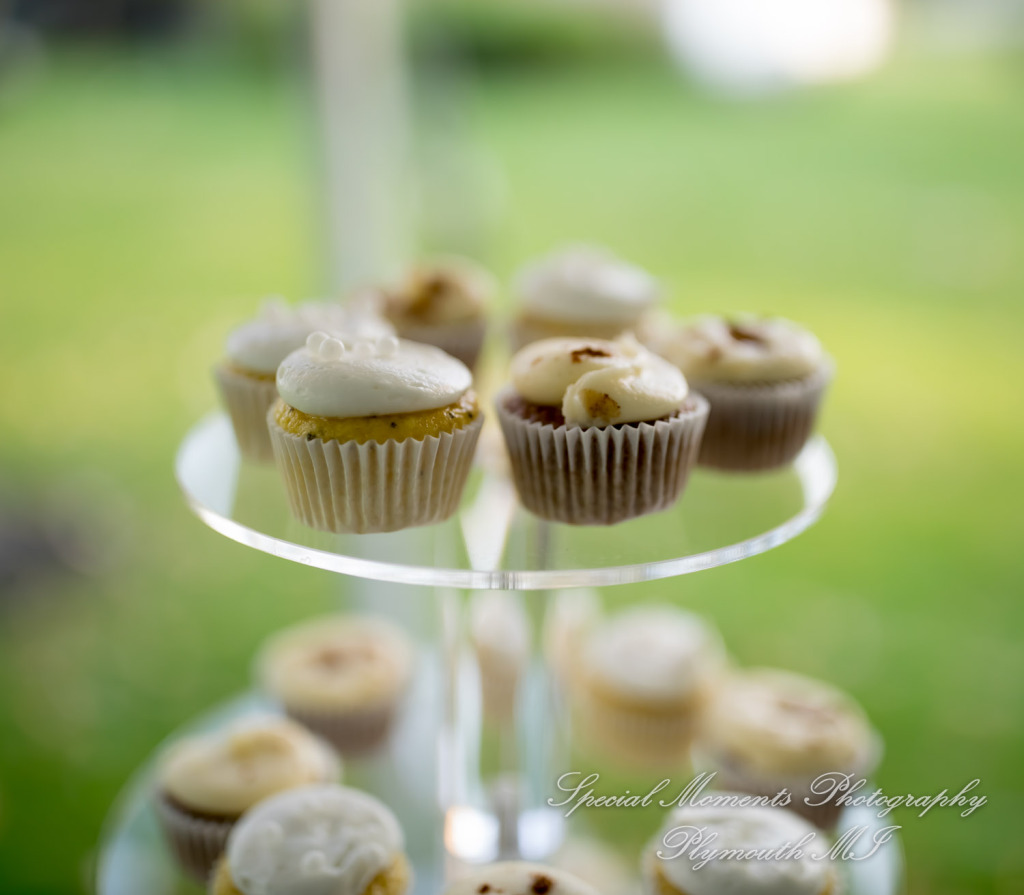 Anna & Jesus at Home Wedding & Reception Chelsea MI wedding photograph