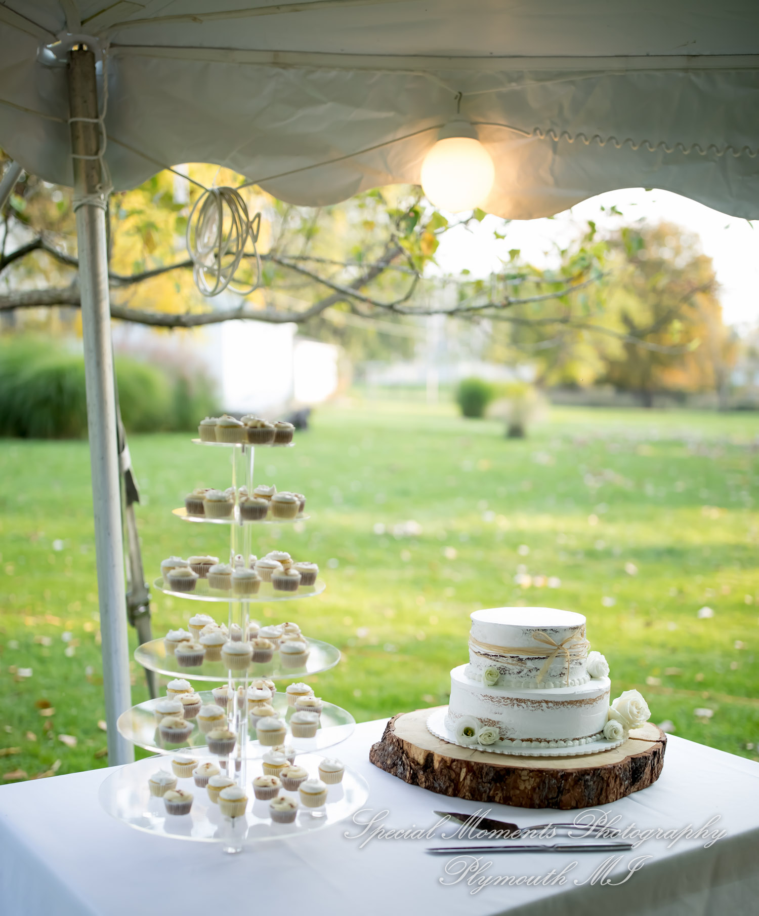 Anna & Jesus at Home Wedding & Reception Chelsea MI wedding photograph