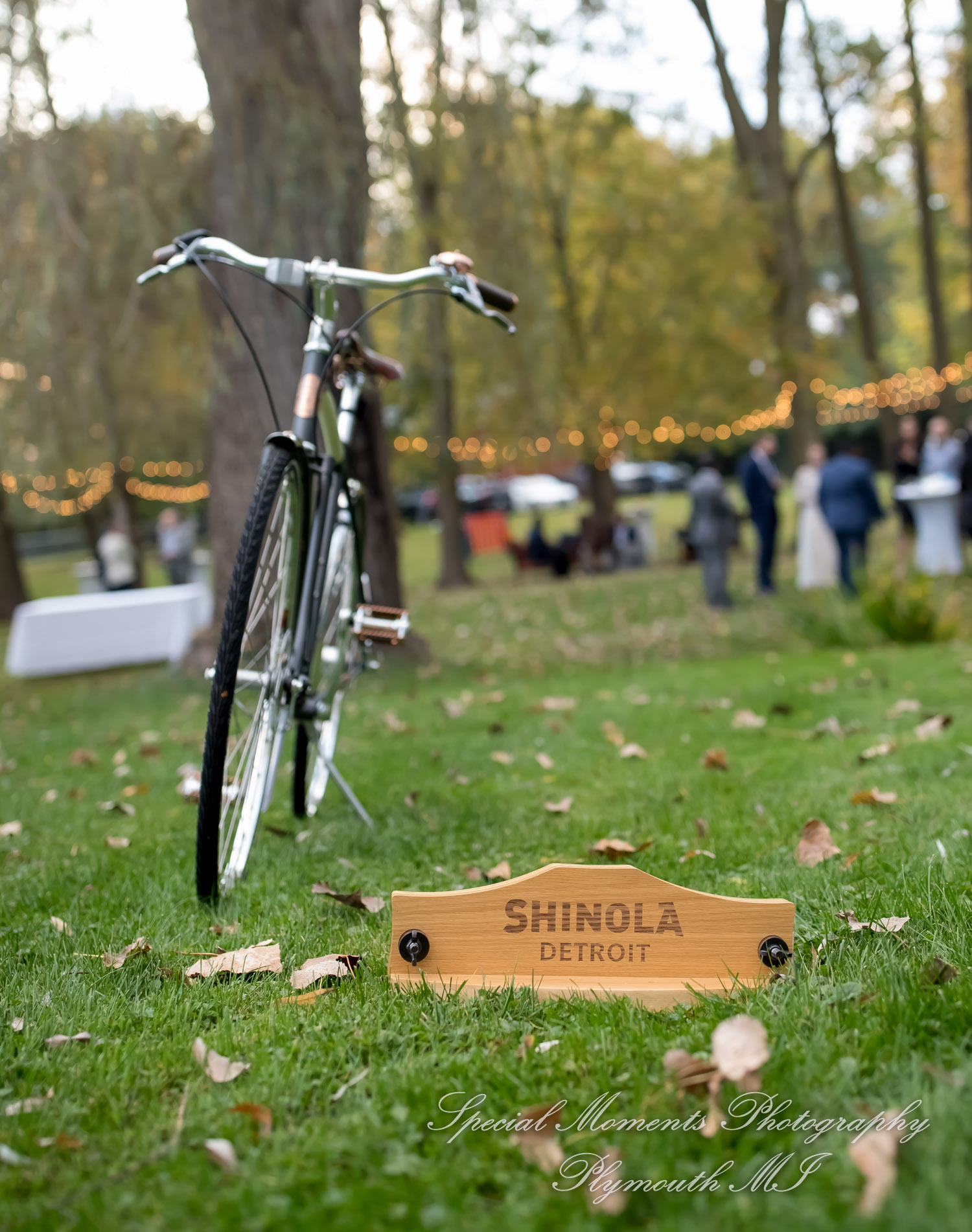 Anna & Jesus at Home Wedding & Reception Chelsea MI wedding photograph