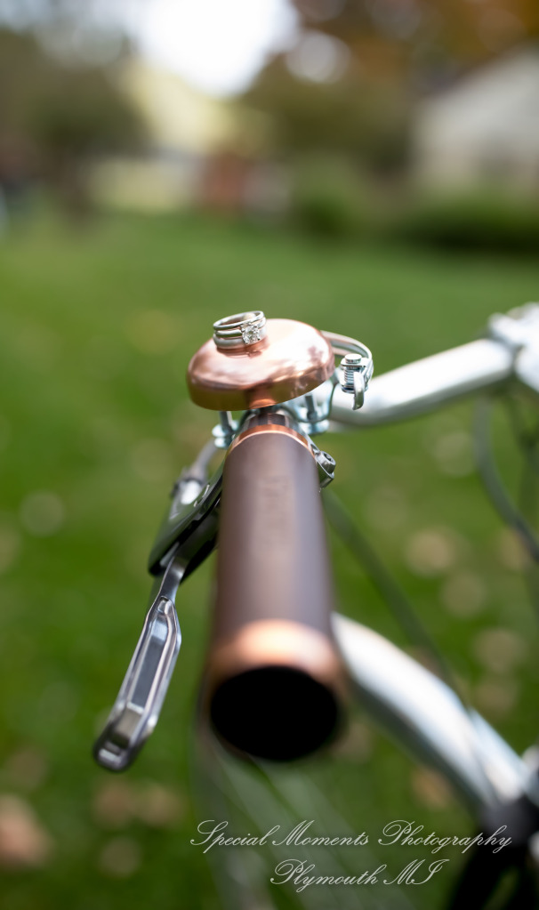 Anna & Jesus at Home Wedding & Reception Chelsea MI wedding photograph