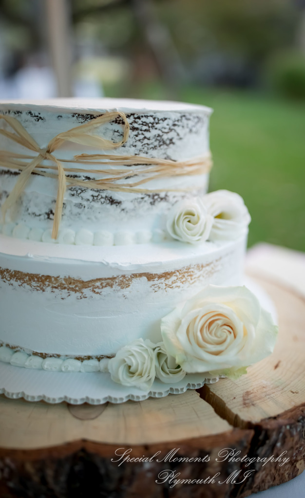 Anna & Jesus at Home Wedding & Reception Chelsea MI wedding photograph